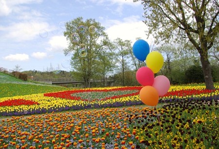 IMGP0157_0421