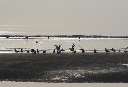 IMGP0015_0428