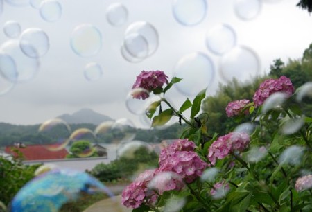 IMGP0128_0617