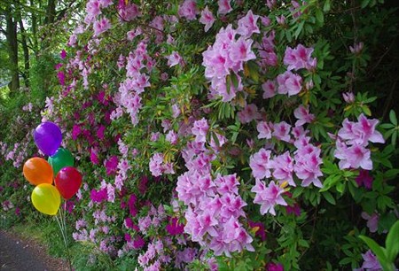 IMGP5760_0511