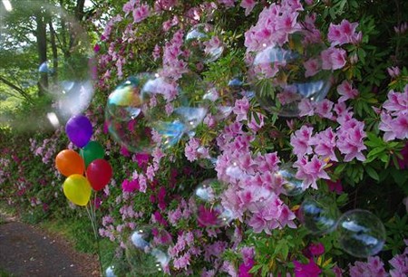 IMGP5895_0511