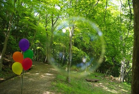 IMGP6071_0511