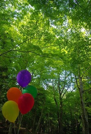 IMGP6162_0511