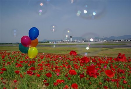 IMGP7044_0517