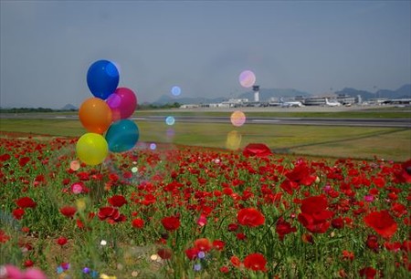 IMGP7090_0517