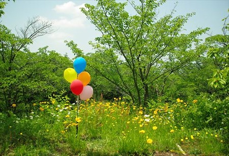 IMGP8507_0525