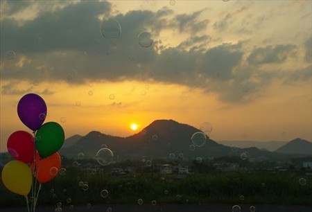 IMGP9013_0525