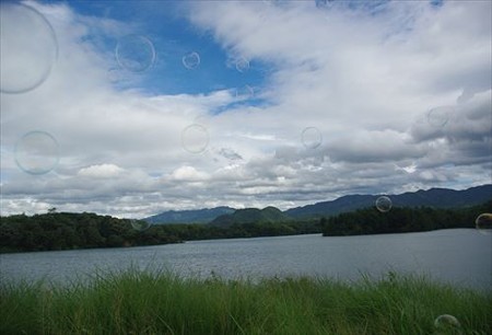 IMGP2879_0810