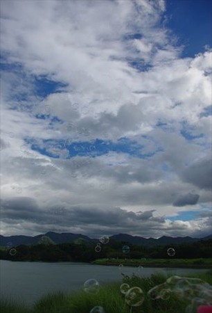 IMGP2950_0810