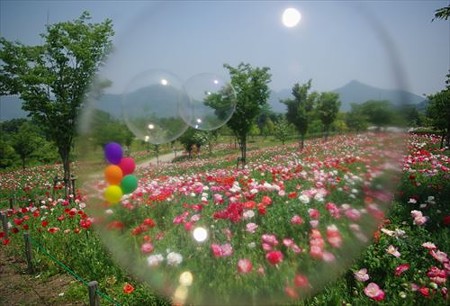 IMGP9204_0531