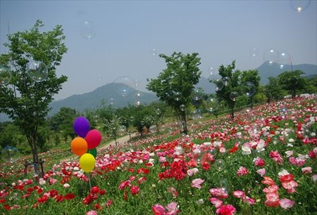 IMGP9347_0531