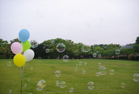 IMGP7317_0601