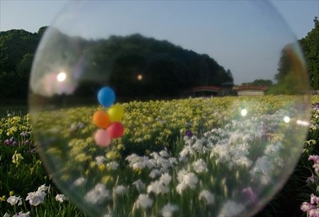 IMGP0070_0607