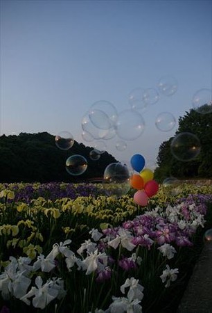 IMGP0244_0607