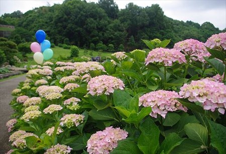 IMGP9603_0608