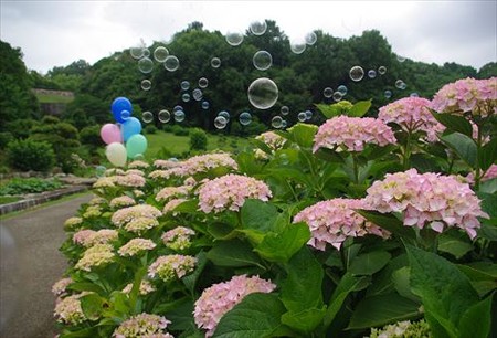 IMGP9607_0608