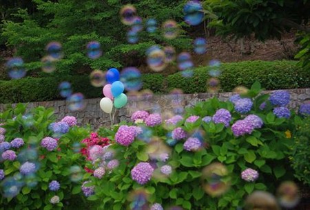 IMGP9652_0608