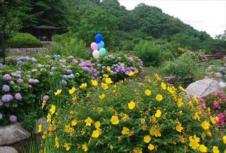 IMGP9721_0608