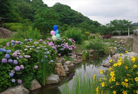 IMGP9777_0608