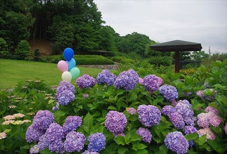 IMGP9803_0608
