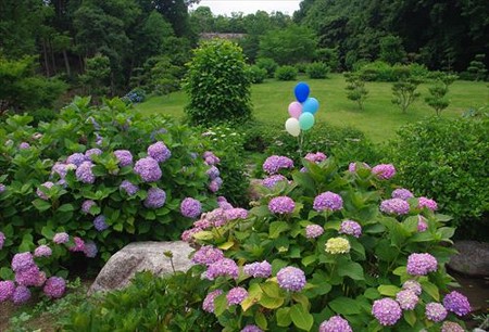 IMGP9806_0608