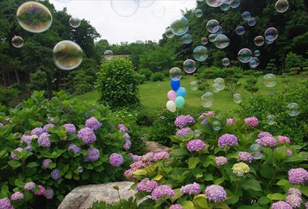 IMGP9816_0608