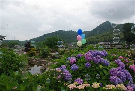 IMGP9904_0608