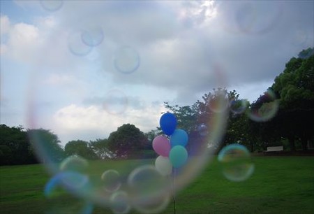 IMGP0263_0608