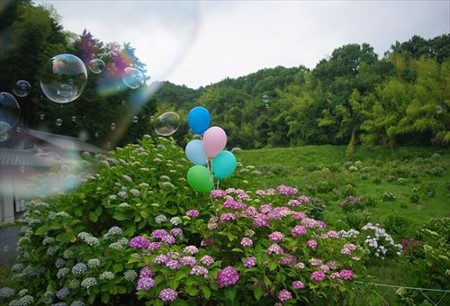 IMGP0507_0614