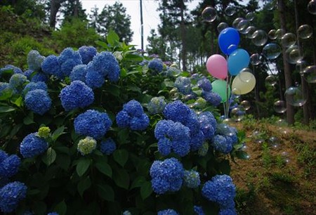 IMGP0595_0614