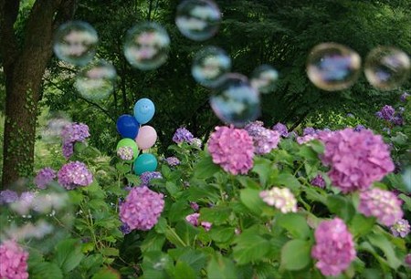 IMGP0080_0622