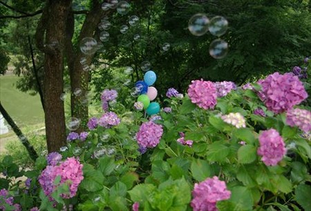 IMGP0100_0622