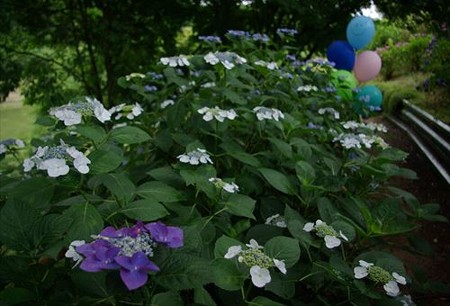 IMGP0173_0622