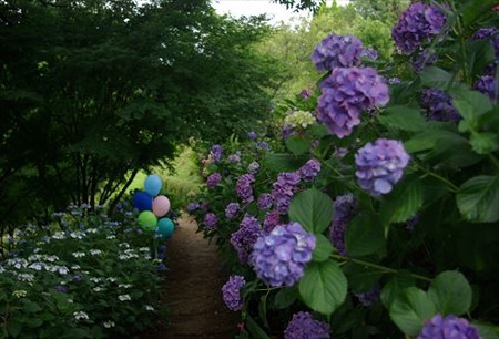 IMGP0277_0622
