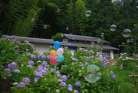 IMGP1878_0628