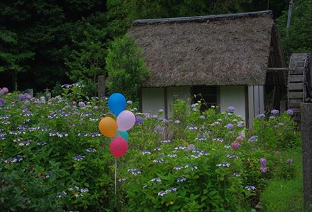 IMGP2093_0628