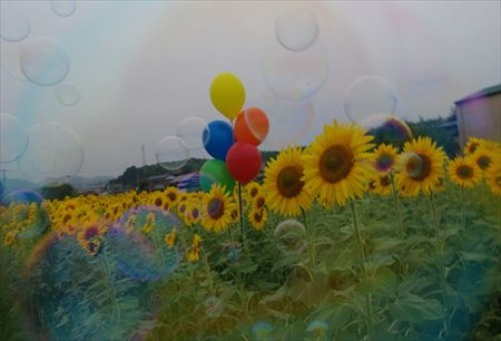 IMGP7413_0703