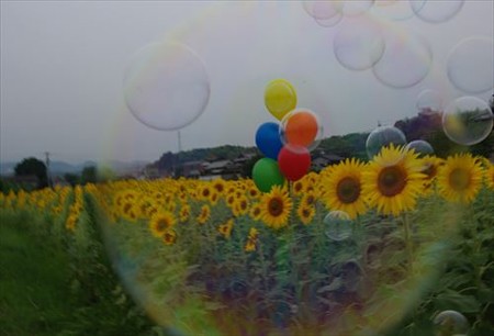 IMGP7418_0703