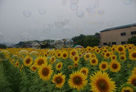 IMGP7444_0703