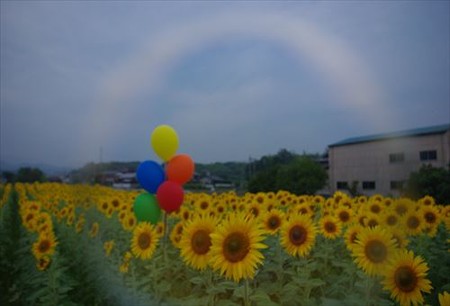 IMGP7602_0703