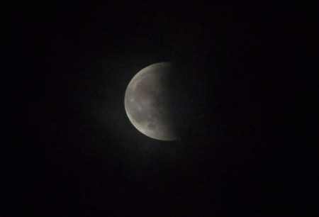 DSCF3033_1008