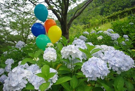 IMGP0183_0706