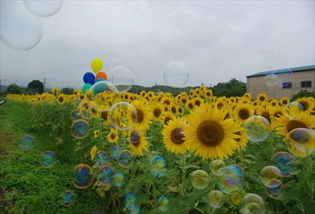 IMGP0537_0706