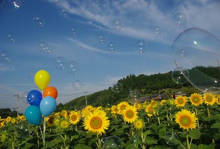 IMGP7784_0712