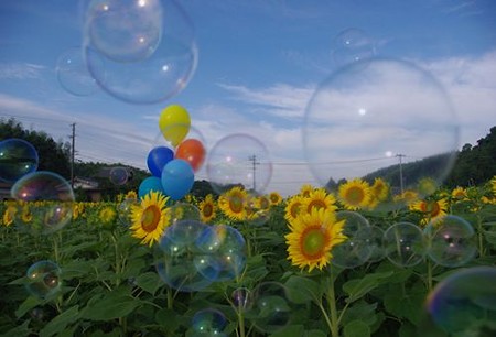 IMGP7843_0712