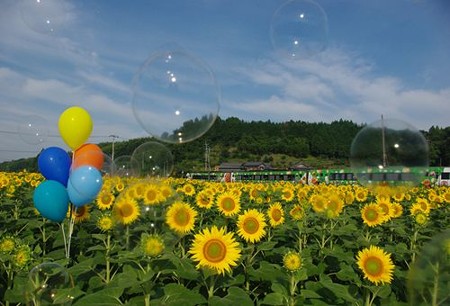 IMGP7885_0712