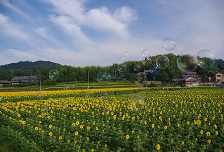IMGP7892_0712
