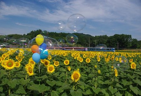 IMGP8008_0712