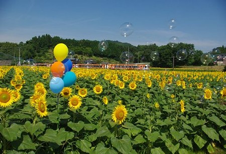 IMGP8051_0712