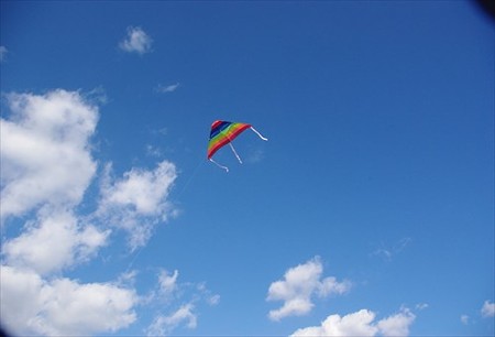IMGP4379_1103